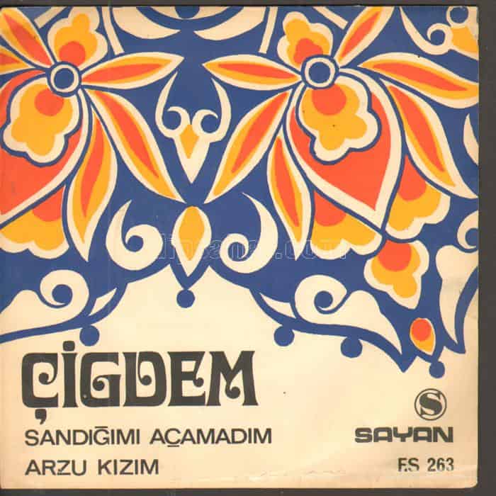 Cigdem Sandigimi Acamadim Arzu Kizim