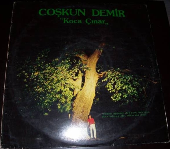 coskun demir koca cinar lp 1982 kapagi